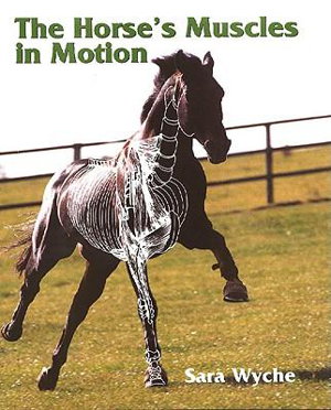 Cover art for Horse's Muscles in Motion