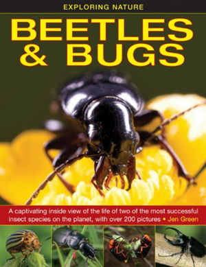 Cover art for Exploring Nature Beetles and Bugs A Captivating Inside View of Life of Two of the Most Successful Insect Species on the