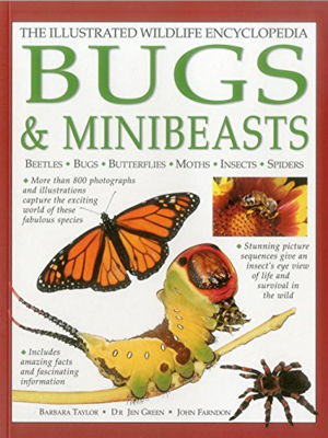 Cover art for Illustrated Wildlife Encyclopedia: Bugs & Minibeasts