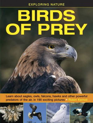 Cover art for Birds of Prey Exploring Nature