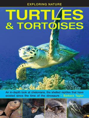 Cover art for Exploring Nature Turtles & Tortoises An in-Depth Look at Chelonians the Shelled Reptiles That Have Existed Since the