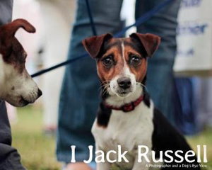 Cover art for I Jack Russell