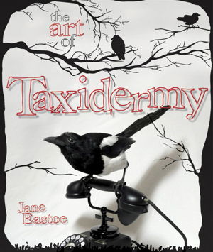 Cover art for The Art of Taxidermy