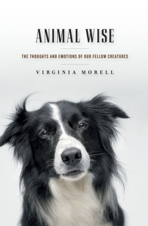 Cover art for Animal Wise