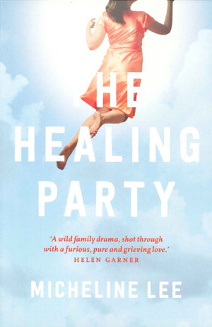 Cover art for Healing Party A Novel