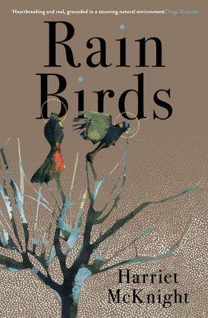 Cover art for Rain Birds