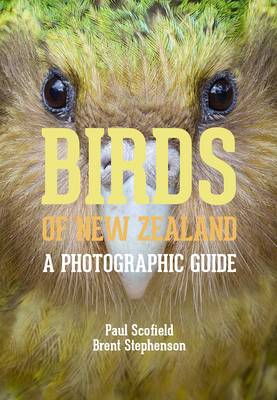 Cover art for Birds of New Zealand