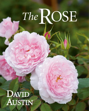 Cover art for Rose