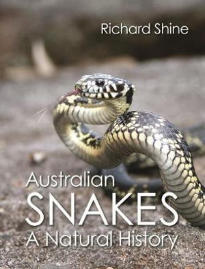 Cover art for Australian Snakes