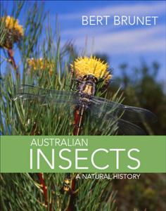 Cover art for Australian Insects