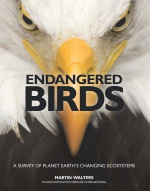 Cover art for Endangered Birds