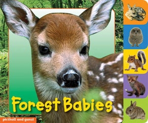 Cover art for Animal Tabs Forest Babies