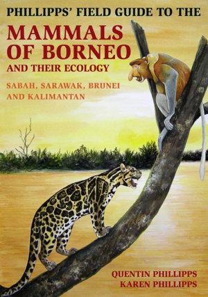 Cover art for Phillipps' Guide to the Mammals of Borneo and Their Ecology