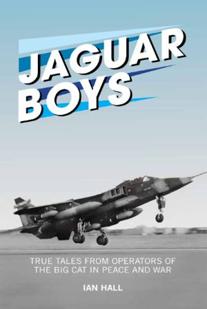 Cover art for Jaguar Boys