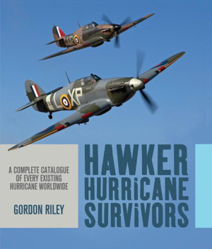 Cover art for Hawker Hurricane Survivors