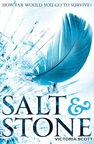 Cover art for Salt & Stone