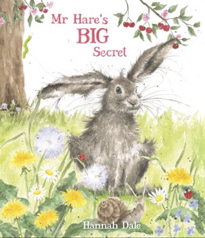 Cover art for Mr Hare's Big Secret