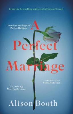 Cover art for Perfect Marriage