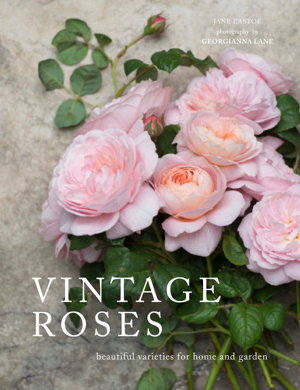 Cover art for Vintage Roses