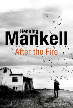 Cover art for After the Fire