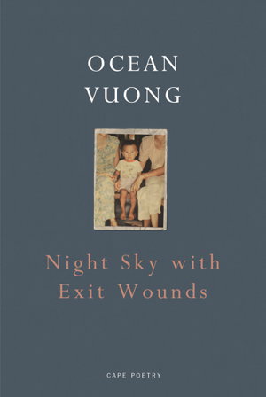 Cover art for Night Sky with Exit Wounds