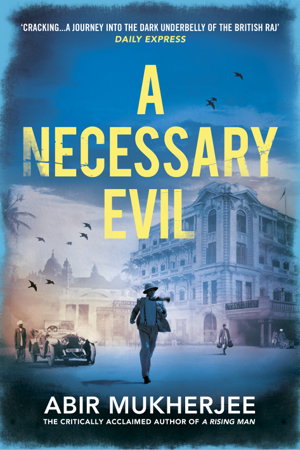Cover art for A Necessary Evil