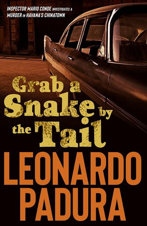 Cover art for Grab a Snake by the Tail