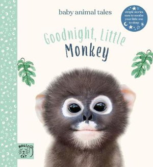 Cover art for Goodnight, Little Monkey
