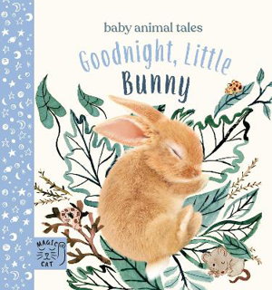 Cover art for Goodnight, Little Bunny