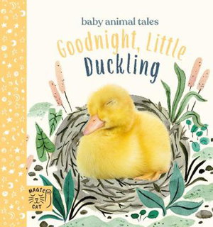 Cover art for Goodnight, Little Duckling