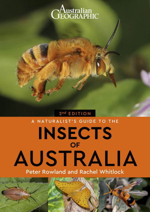Cover art for Australian Geographic Naturalist's Guide to the Insects of Australia 2/e