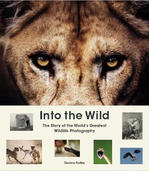 Cover art for Into the Wild