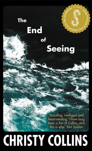 Cover art for The End of Seeing