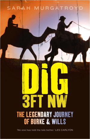 Cover art for Dig 3ft NW