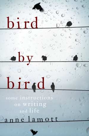 Cover art for Bird by Bird Some Instructions on Writing and Life