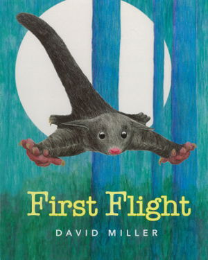Cover art for First Flight