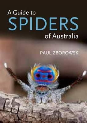 Cover art for A Guide to Spiders of Australia