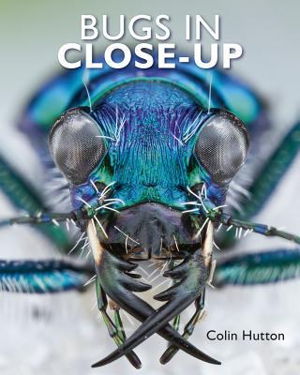 Cover art for Bugs in Close-Up