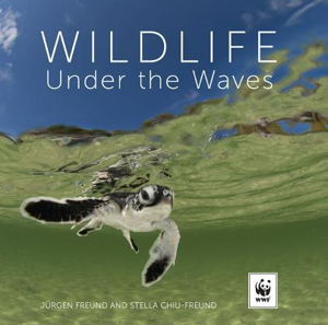 Cover art for Wildlife Under the Waves