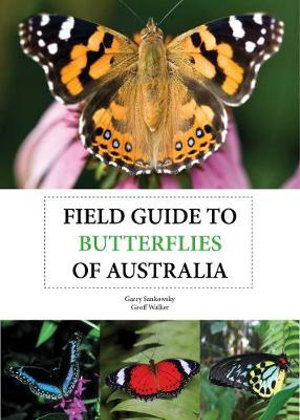 Cover art for Field Guide to Butterflies of Australia