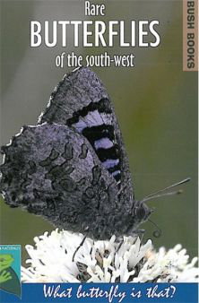 Cover art for Rare Butterflies of the South-West