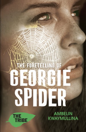 Cover art for Foretelling of Georgie Spider
