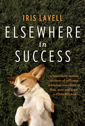 Cover art for Elsewhere in Success