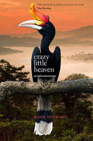 Cover art for Crazy Little Heaven