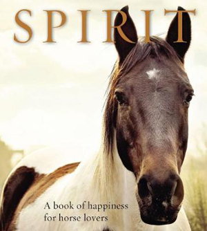 Cover art for Spirit