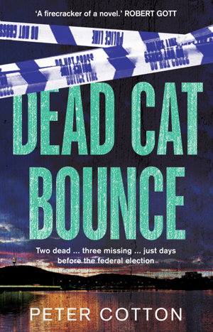 Cover art for Dead Cat Bounce
