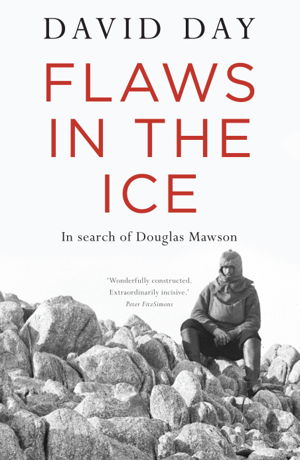 Cover art for Flaws in the Ice