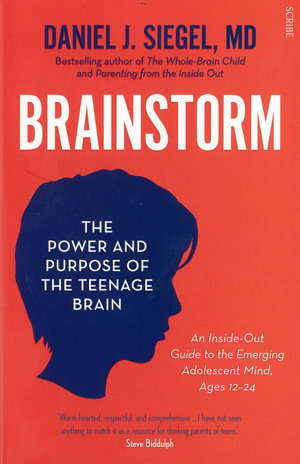 Cover art for Brainstorm: The Power and Purpose of the Teenage Brain