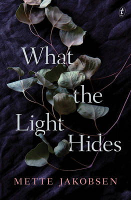 Cover art for What the Light Hides