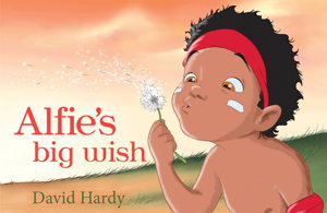 Cover art for Alfie's Big Wish